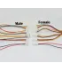 Cable Aéreo Conector Rc 3 Pines Xh 2.54mm X 5 - Merkatronix