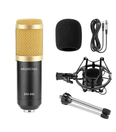 Micrófono Condensador Profesional Bm800 Con Soporte - Merkatronix