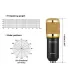 Micrófono Condensador Profesional Bm800 Con Soporte - Merkatronix