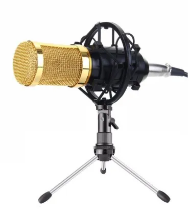 Micrófono Condensador Profesional Bm800 Con Soporte - Merkatronix