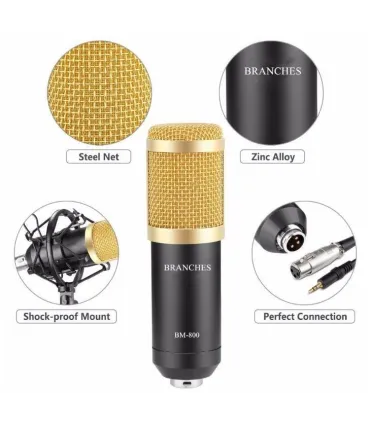 Micrófono Condensador Profesional Bm800 Con Soporte - Merkatronix