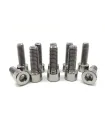 Tornillo M5 X 10mm Bristol x 20 Unidades