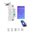 Interruptor Medidor De Energía Wifi 63a - Sonoff - Ewelink