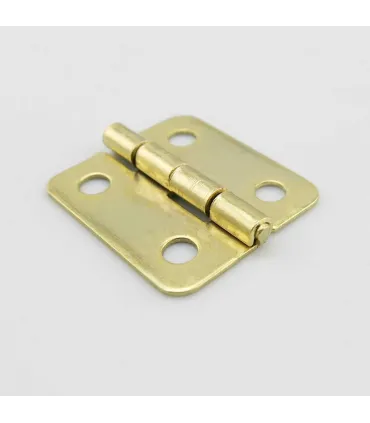 Mini Bisagra De Hierro 170x180mm - Calibre 5mm