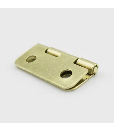 Mini Bisagra De Hierro 170x180mm - Calibre 5mm