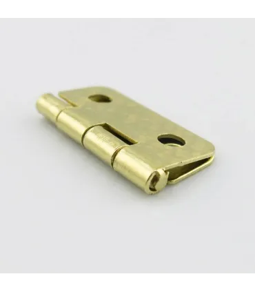 Mini Bisagra De Hierro 170x180mm - Calibre 5mm