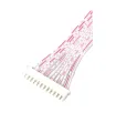 Cable Conector XH2.54 Doble Cabeza 20cms 12 Pines
