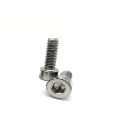 Tornillo M5 X 10mm Bristol X  Unidad