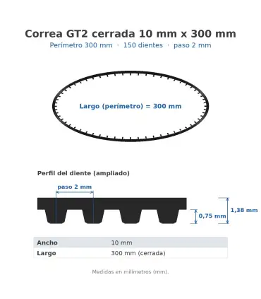 Correa De Distribución Gt2 Cerrada 10mm X 300mm